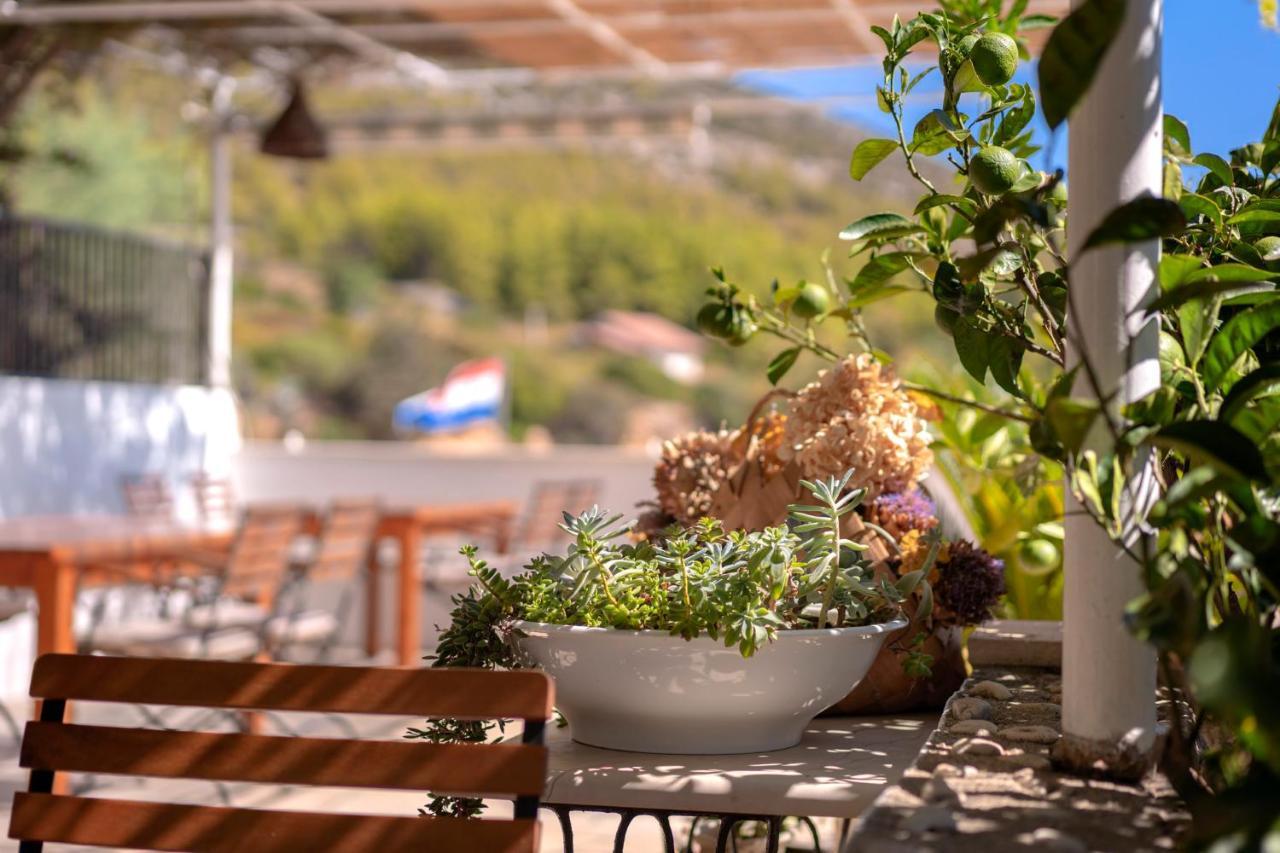 Pansion Marjan Otel Zavala Dış mekan fotoğraf