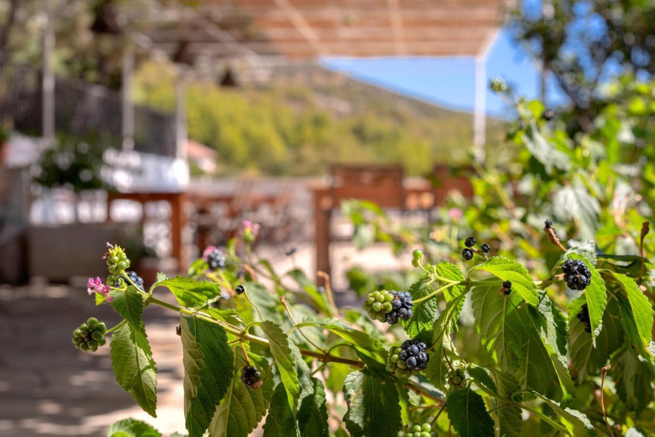 Pansion Marjan Otel Zavala Dış mekan fotoğraf